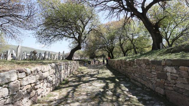 İzmir deki tarihi antik yol ziyarete açılacak